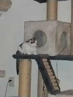 /album/258/whatsapp-image-2026-04-05-at-00-31-04-1-jpeg/